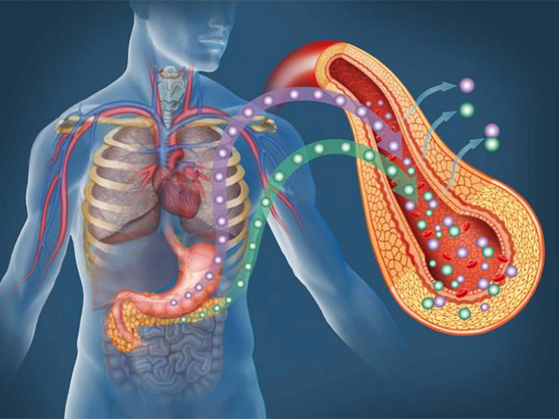 Enhance Insulin Activity Prevent Cardiovascular Disease Chromium Yeast