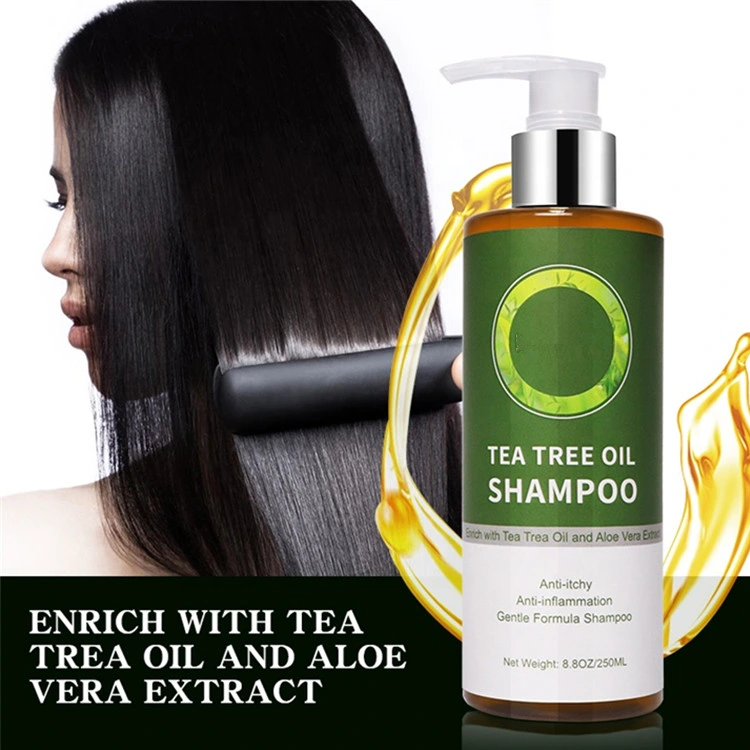 Custom Dandruff Anti-Itchy Anti-Inflammation Natural Organic Tea Tree Oil Hair Shampoo